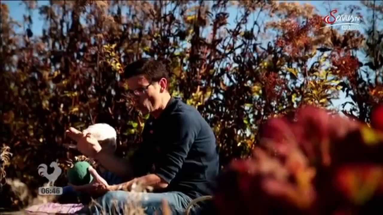 Markus Burkhard Fruchtzierende Gehölze YouTube