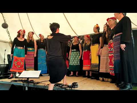 Medena Ensemble Trima Momi Galet Yana Ovchar Lwgala Auckland Folk Festival