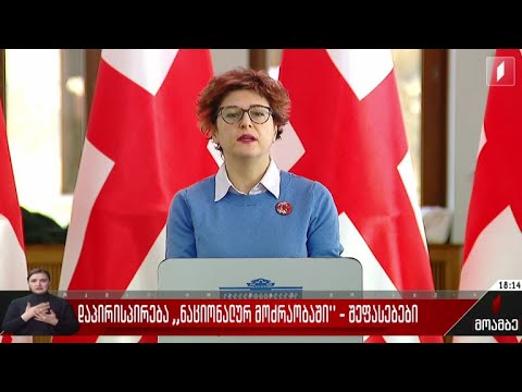 დაპირისპირება „ნაციონალურ მოძრაობაში“ - შეფასებები