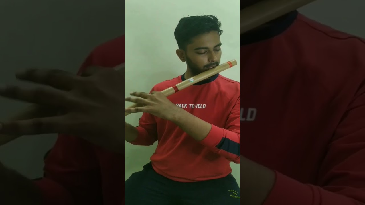 Learning Krish Theme song on flute ❤️