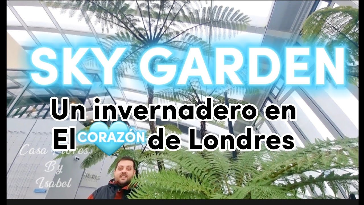 😲Helechos con 25 metros de altura  