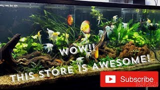 AMAZING AQUARIUM STORE TOUR! | Oddball Pets & Aquariums, Pittsburgh PA | YOU NAME IT, THEY GOT IT!