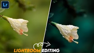 nature photo editing | lightroom editing nature #short screenshot 5