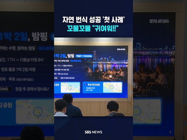 자연 번식 성공 '첫 사례' "귀여워!!" #shorts