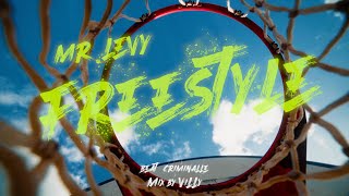 Mr.levy - Freestyle