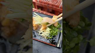【穴釣り】巨大テトラの隙間から 穴釣り