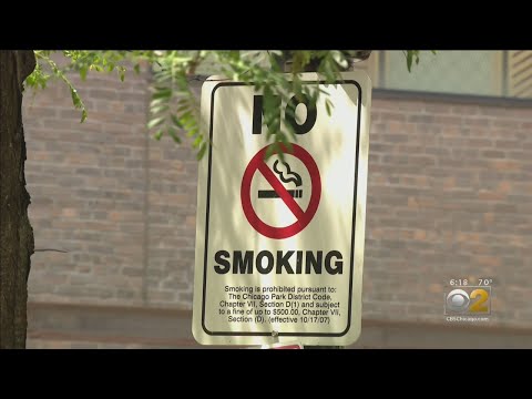 Smoking Ban At Chicago Parks Not Stopping Many Smokers From Lighting Up