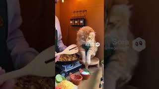 The Burrito Was Aggressive