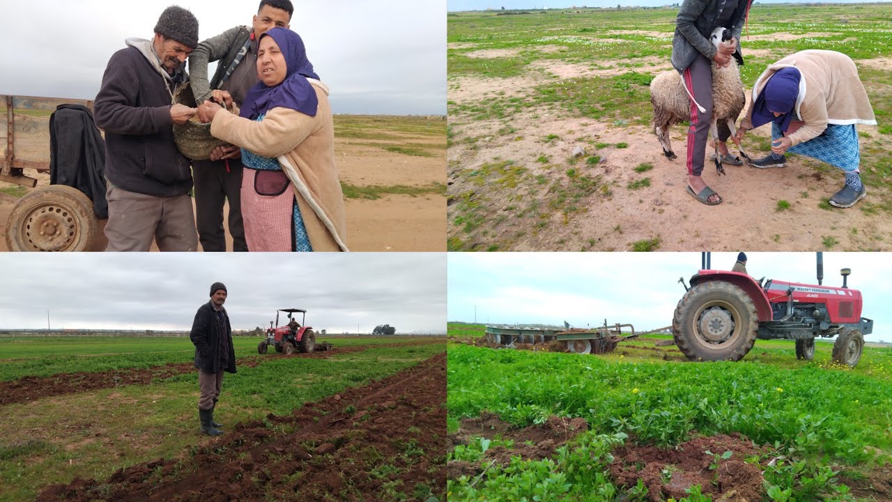 اجواء الحرت دنيا ولات غزالة 😂كنا فرحانين ولكن في اخر تصدمنا البغل عض سفيان نعجات تنفخات لينا 😱🥺