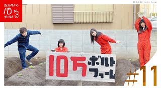 今度こそスーパーの野菜は使わない‼︎鍋料理に合う冬野菜を植えてみた♪