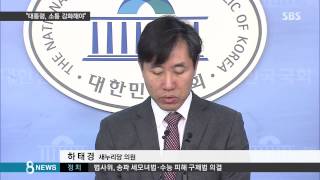 [정치] 여당 소장파 박 대통령, 소통 강화해야 쓴소리 (SBS8뉴스|2014.12.8)