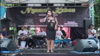 Teman Sejati - Ifha Azhari - EL NYAMUK KEBON - Wedding Iyus & Syuaib. 05.12.2021