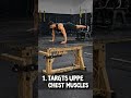 Decline Push-Ups Benefits 💪 | Upper Chest Workout at Home | Build Strength Fast