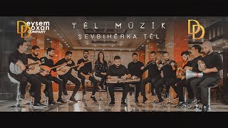 T Ê L M Û Z Î K - Şevbihêrka Têl 2 0 1 9 By
