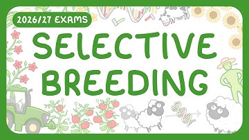 GCSE Biology - Selective Breeding (2026/27 exams)