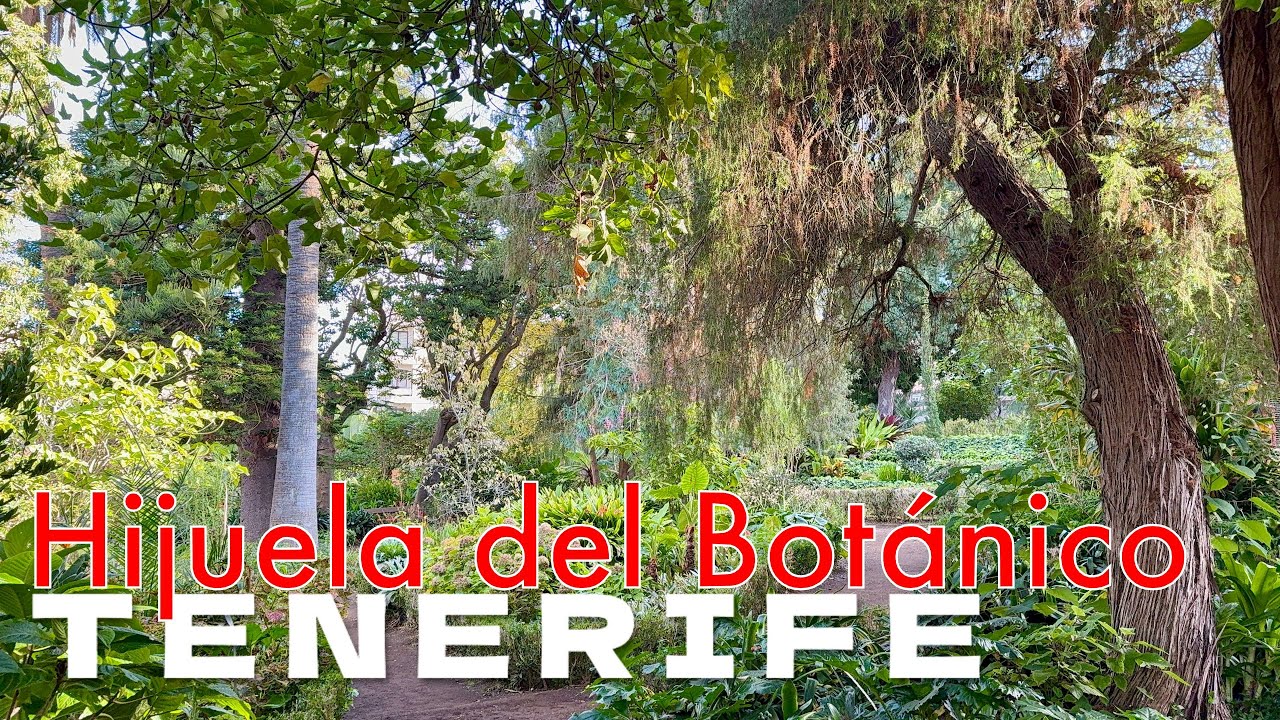 Тенерифе - Хихуэла-дель-Ботанико, Ла-Оротава 🌳
