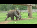 Middle of video