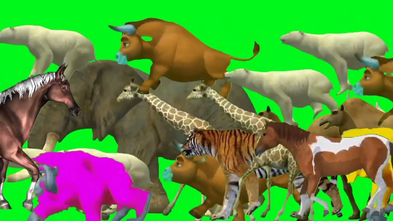 Wild forest crazy green screen animals crossover video!10 de maio de 2025Animal stampede compilation