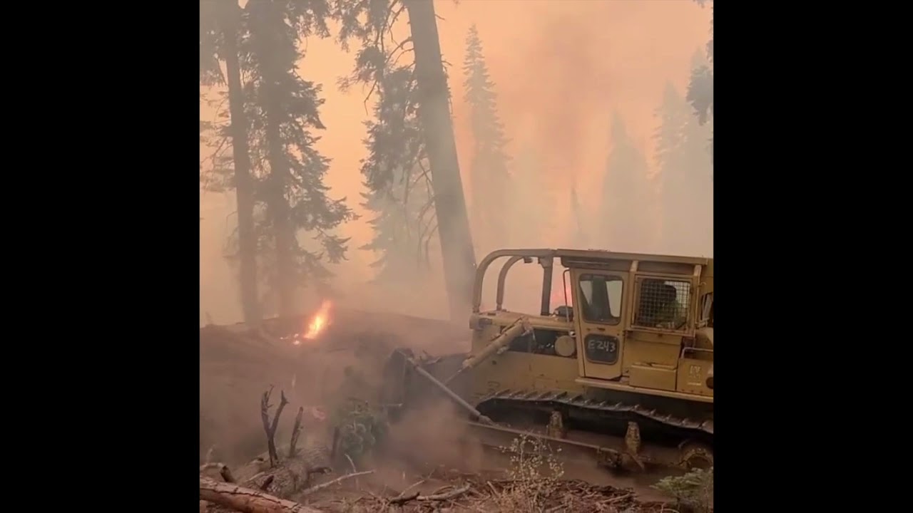 Evacuation Warnings as KNP Complex Fire Grows in Sequoia National Park ...