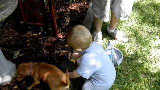 Caleb Easter Egg Hunt