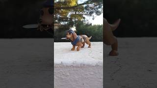 Dachshund Rogue | D&amp;D Dogs (Part 9) #dnd #dog #miniature