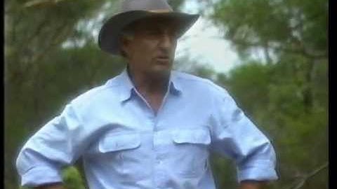 The Extraordinary E01