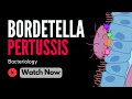 Pertussis: The Role of Bordetella Pertussis in Whooping Cough and Effective Prevention Strategies