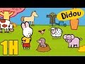 1 heure de Didou, dessine-moi la campagne | Compilation | Dessins animés pour les enfants