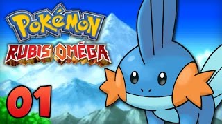 POKEMON RUBIS OMÉGA | Épisode 1 - Let's Play