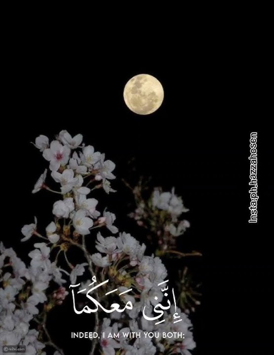 قال لا تخافا إنني معكما أسمع وأرى | حالات واتس | ايات قرانية قصيرة |للقارئ محمد ديبيروف 🤍🌿#تلاوات