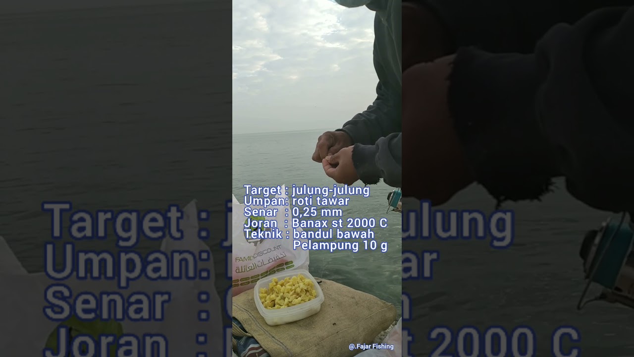 mancing julung-julung 