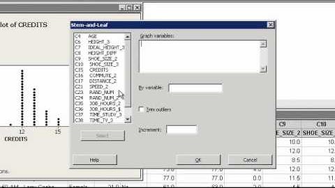 Dot and Stem-Leaf Minitab.mp4
