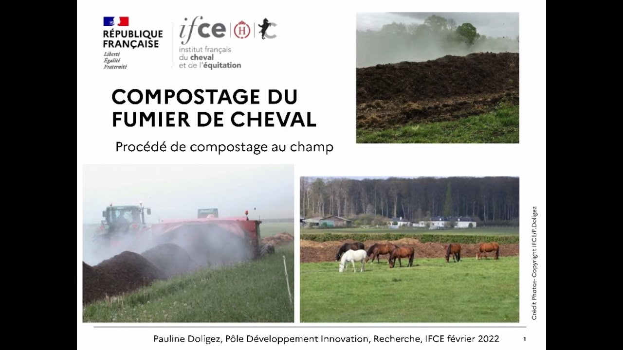 Composter pour valoriser le fumier sur l'exploitation - Pauline Doligez