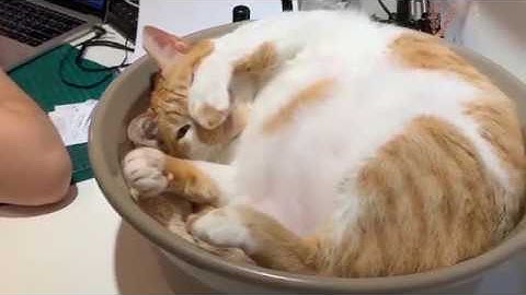 Atom Power User -YEYE-