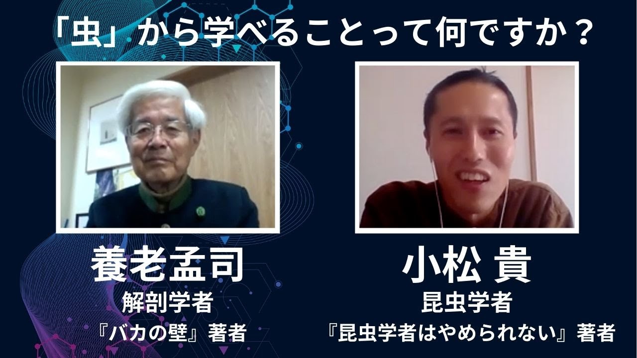 虫から学べることは何ですか 養老孟司 小松貴 The Conversation Youtube