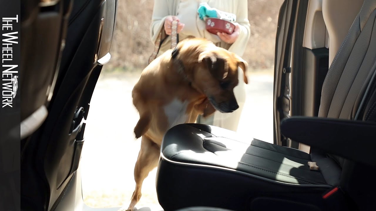 2021 Chrysler Pacifica Pet friendly Features YouTube
