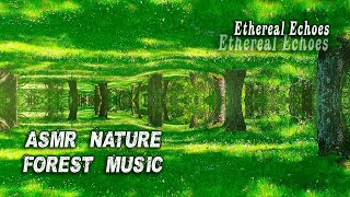 Fantasy Relaxing Ethereal Music with the Echoes of Spring Sounds in a Hidden Forest🌿ECHO ASMR NATURE