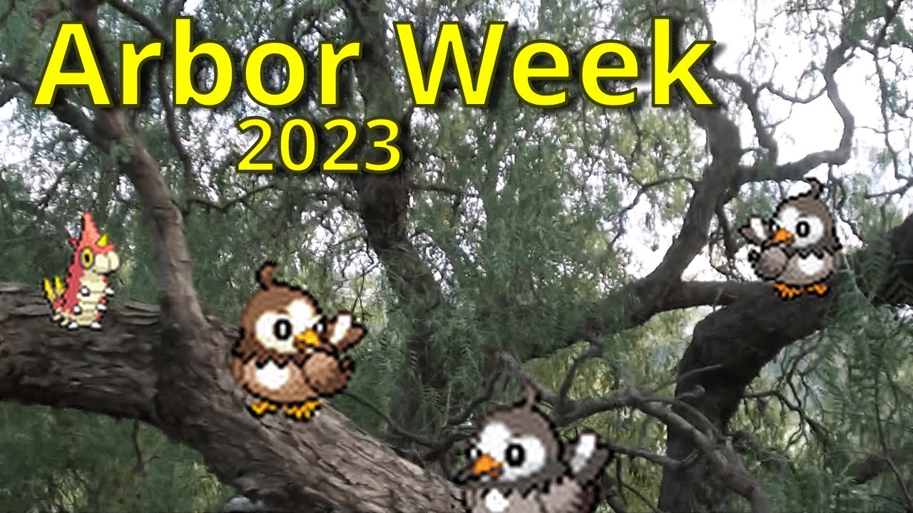 How I headbutted trees for a shiny Starly during Arbor Week 2023 YouTube