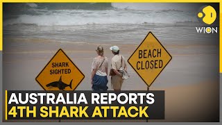 Australia: After Fourth Shark Attack in 48 Hours, Beaches Shut Across NSW | WION