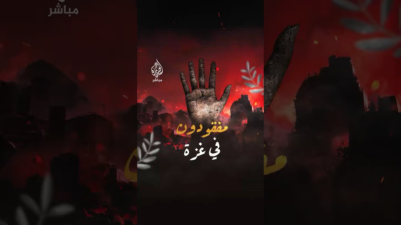 فُقد أواخر عام 2023.. زوجة الفلسطيني مؤيد السيد الحلولي تناشد لمعرفة مصير زوجها