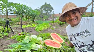 COLHEITA E LIMPANDO A HORTA MAS A CHUVA NÃO DEIXOU
