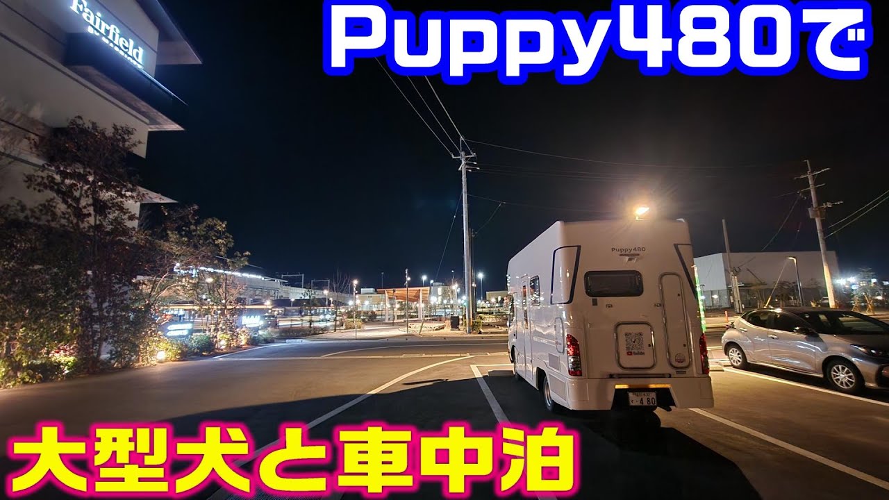 Puppy480 大型犬と車中泊 | 佐賀～長崎①祐徳稲荷神社～嬉野