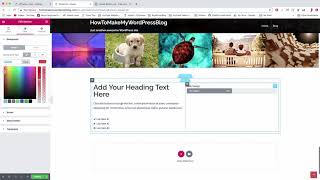 Moving Progress Bars - WordPress