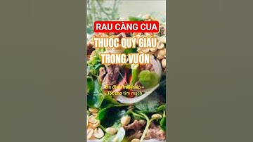 CÔNG DỤNG TUYỆT VỜI CỦA RAU CÀNG CUA #RauCangCua #SuckhoeTuNhien #DinhDuongXanh #shorts  #sốngkhỏe