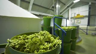 Our Brewing Process: 5. The copper and whole-leaf hops