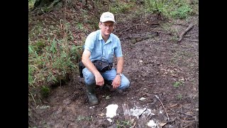 Bigfoot. Leflore County Oklahoma sighting, and my thoughts about the rumored Bluff Creek Massacre.