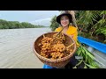 Countryside Life TV: Have you ever seen this fruit at your place? / Use free ingredient for cooking