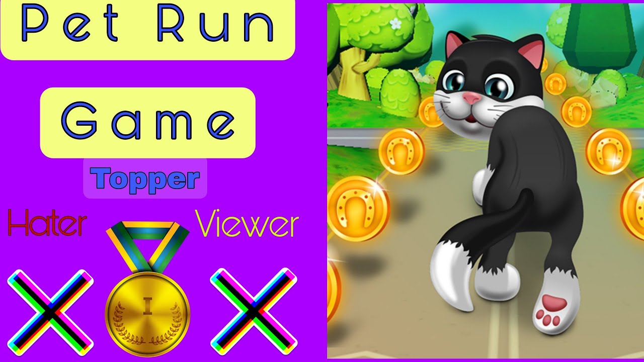 Pet Run Game.Cat Running.game YouTube