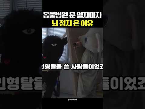 동물병원 문 열자마자 뇌 정지 온 이유 thumbnail