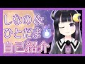 【新人Vtuber】はじめまして、しなのとひとだまです!【自己紹介】